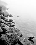 fog