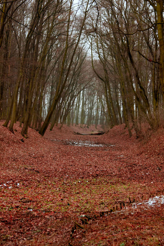 Przestrzeń