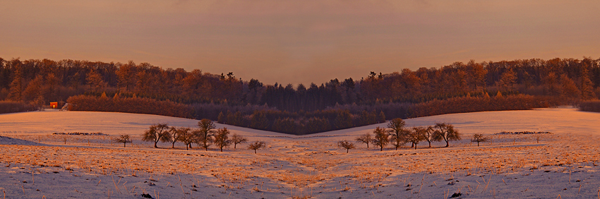 Zima o wschodzie slonca/Westerwald/