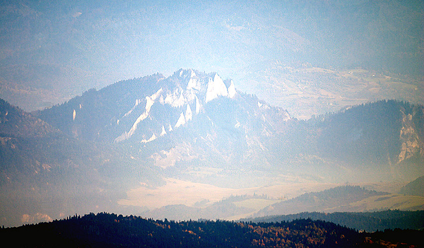 zęby smoka