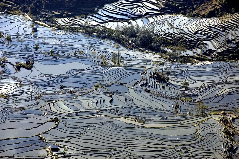 Yuanyang rice terraces, China