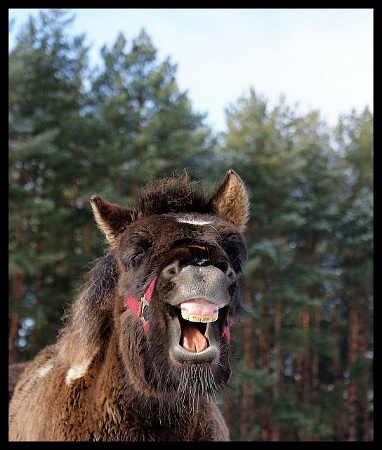 :D
