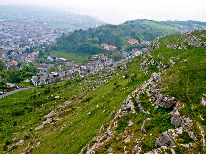 Walia - Llandudno