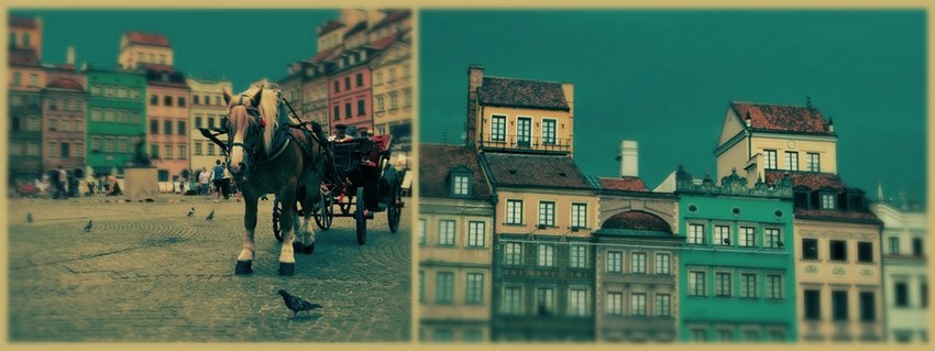 Rynek