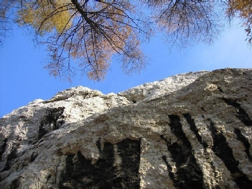 Ogrodzieniec