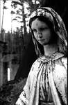 forgotten... (II)