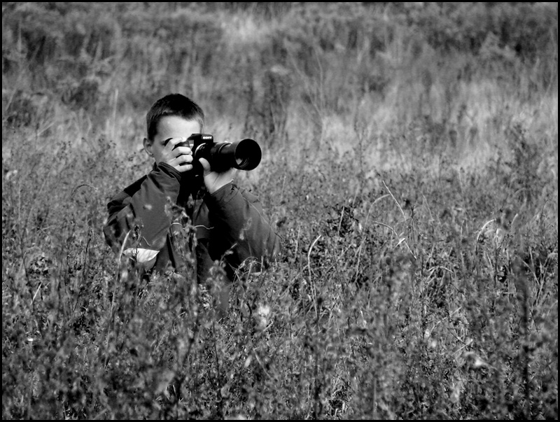 \"Bushman\"