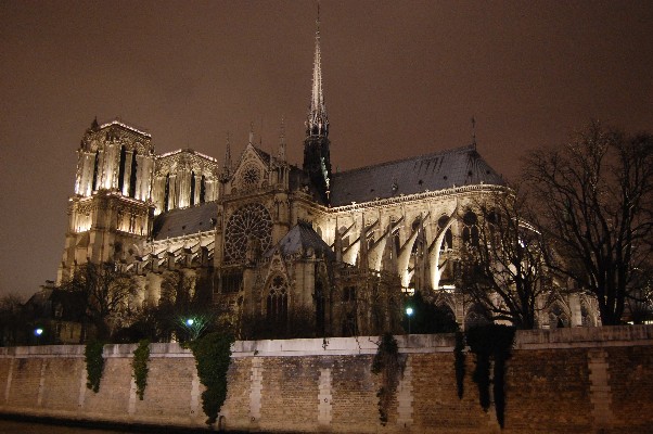 Notre Dame - widok od Sekwany