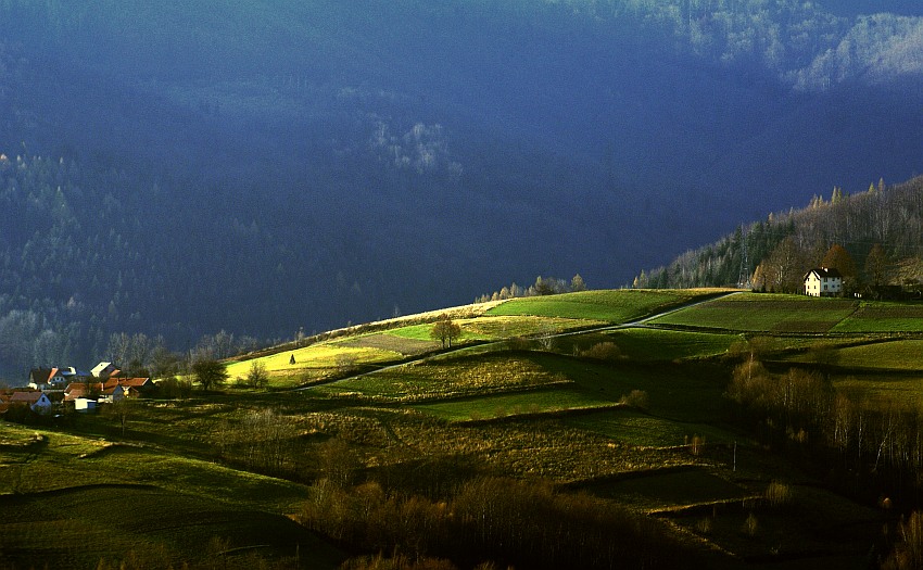 beskidzkie pola