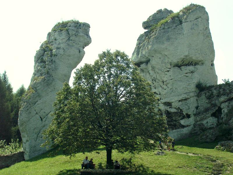 Ogrodzieniec