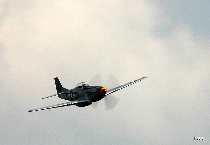 Mustang P-51D