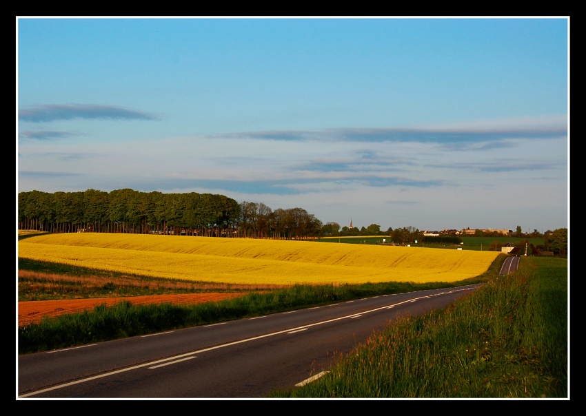 Road to...