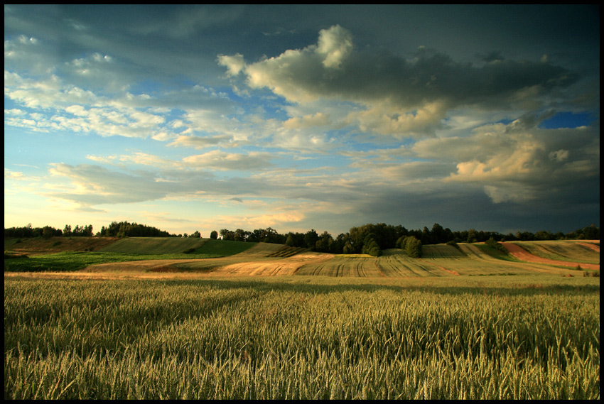 lubelszczyzna