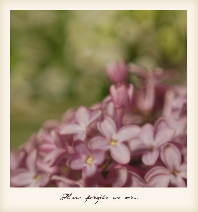 Fragile
