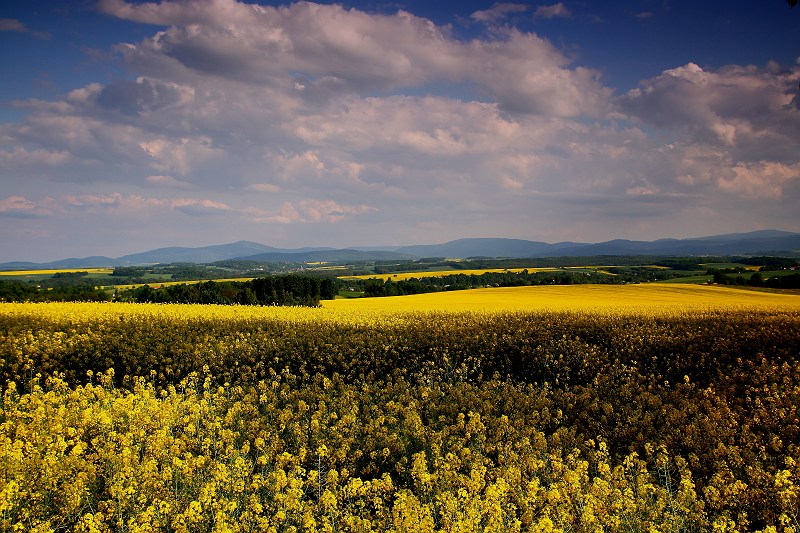 wycieczka