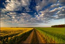 Way To Heaven...