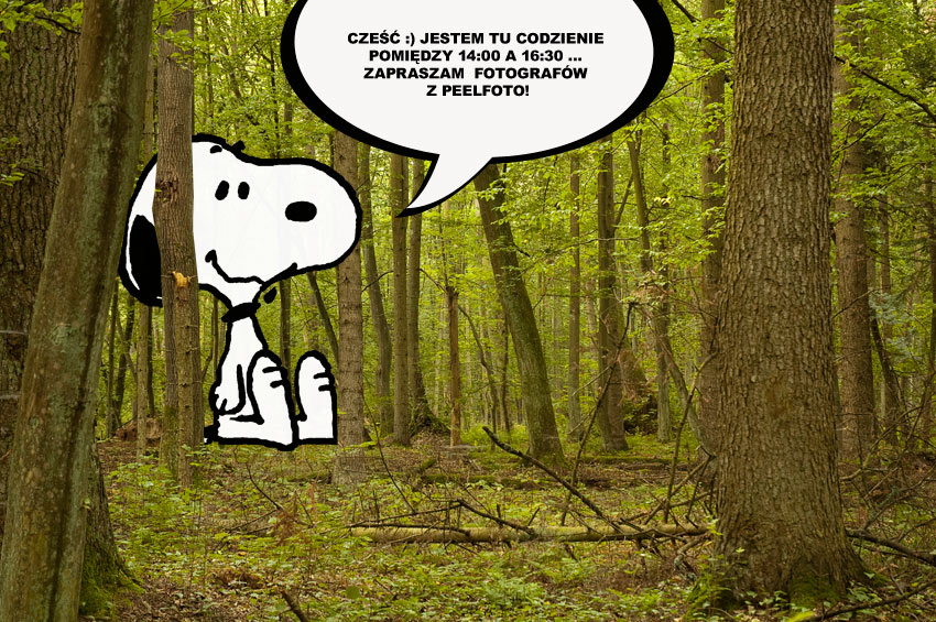 Było trochę tłoczno, ale sie załapałem ... :)))