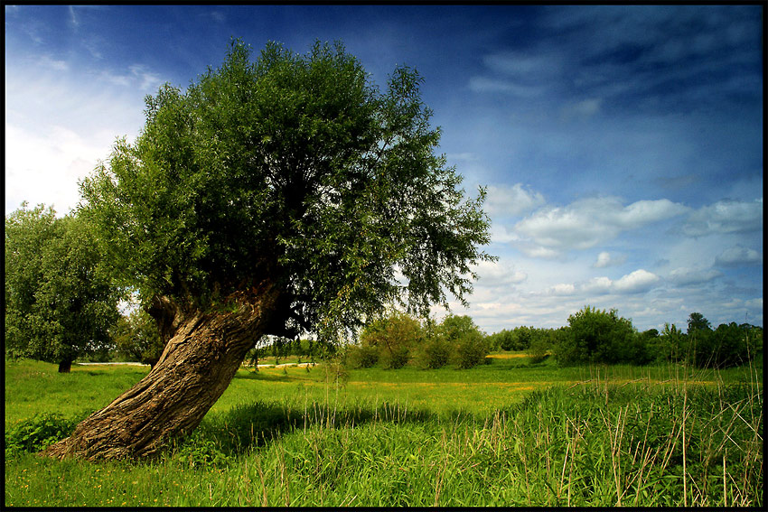 polskie klimaty cd.