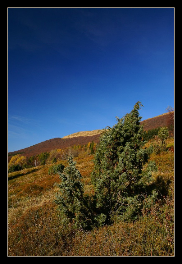 Bieszczady jesienne