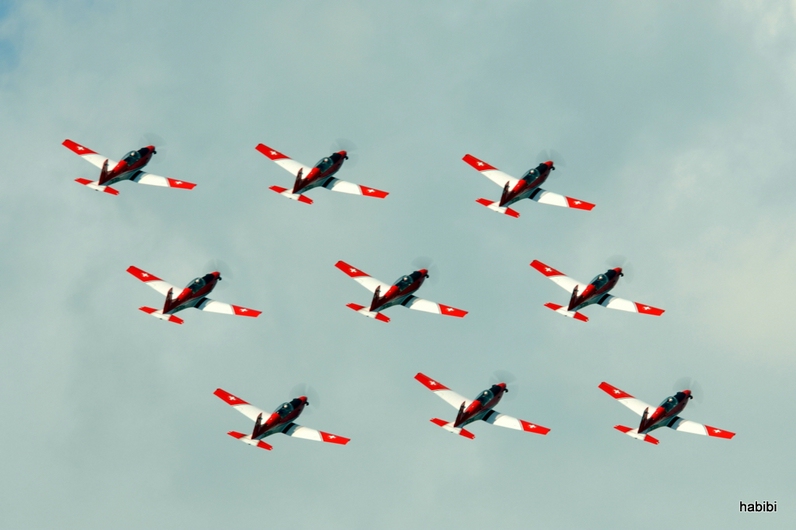 PC-7 Team  Swiss Air Force