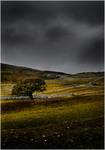 Yorkshire Dales - w oczekiwniu na burzę