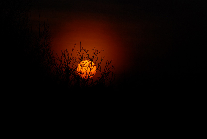 sun