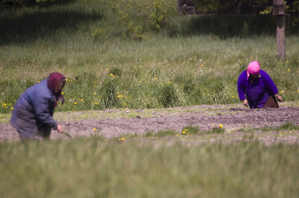 Polesie, Ukraina