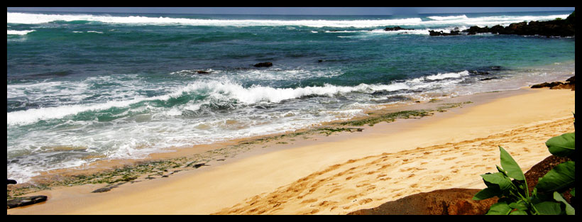 Haleiwa beach