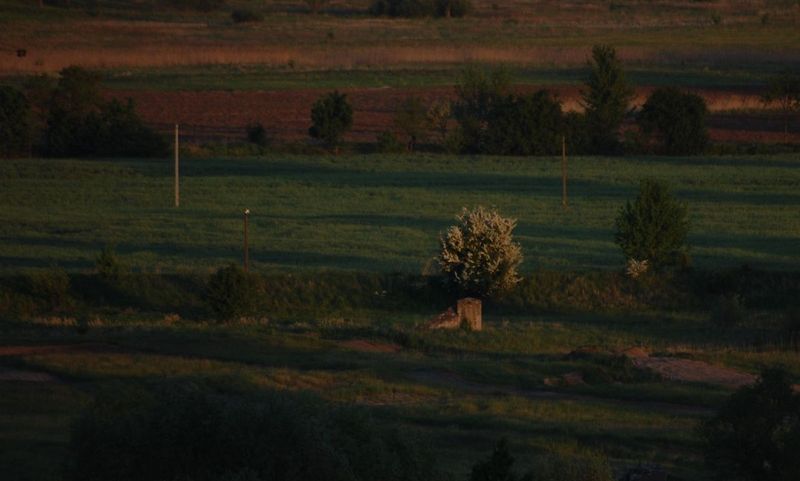 widok z mojego okna