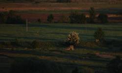 widok z mojego okna
