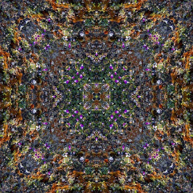 kobierzec (2)