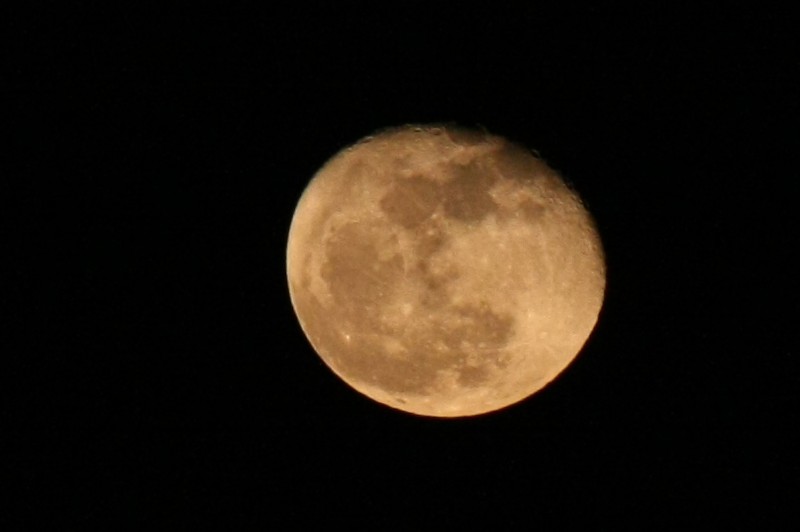 Luna