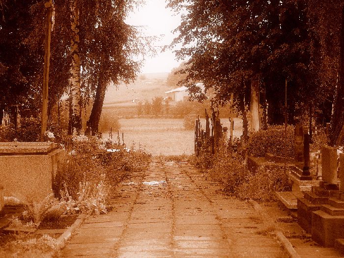 w mieście Aniołów