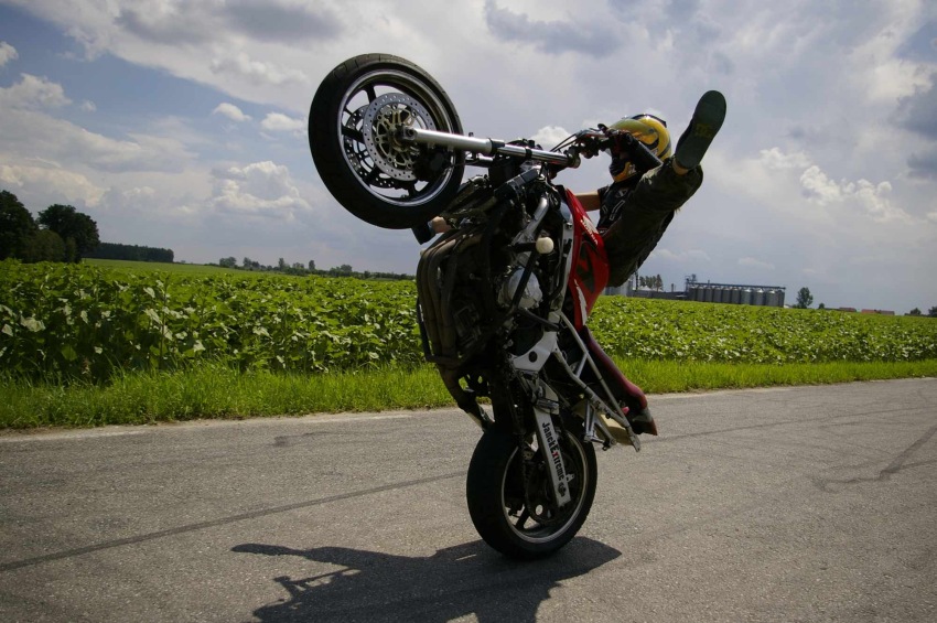 Spreader     Ewa Pieniakowska