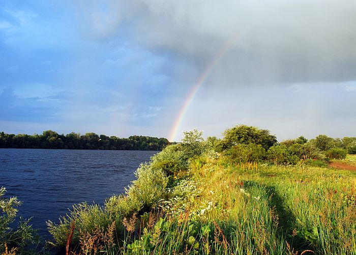 narew