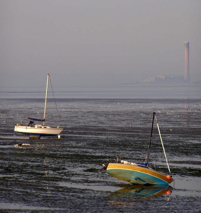 w oczekiwaniu n amorze