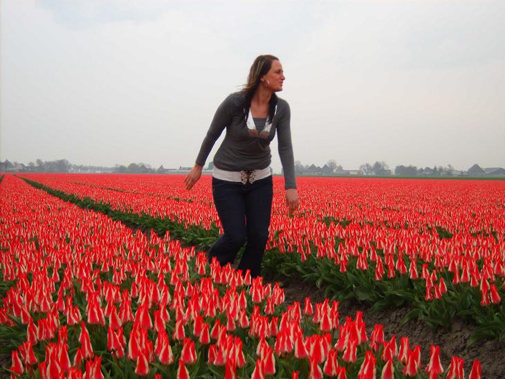 wśród tulipanów