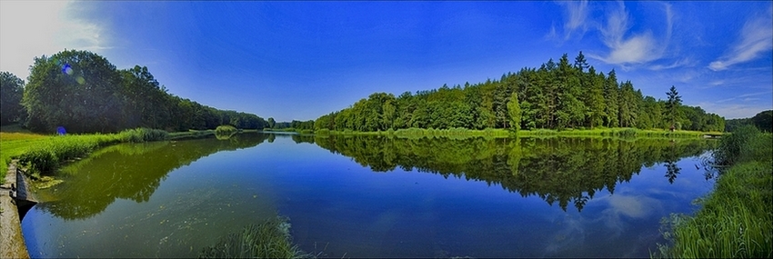 Goluchów
