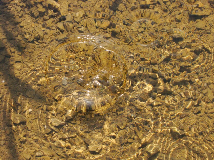 Zagłuszony plusk