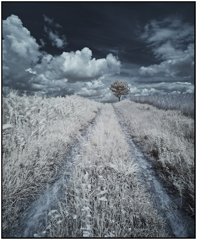 IR