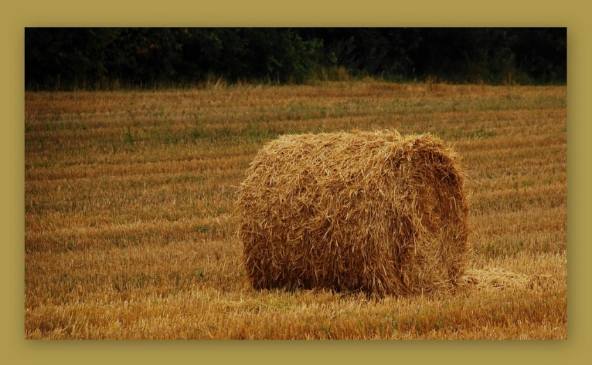 wałek