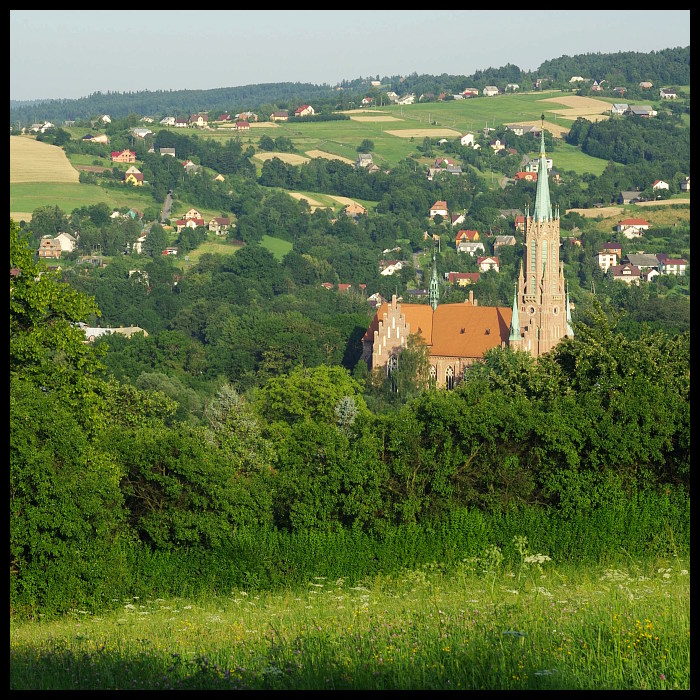 Grybów