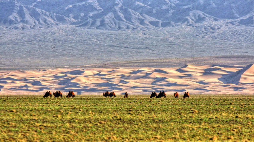 Mongolia