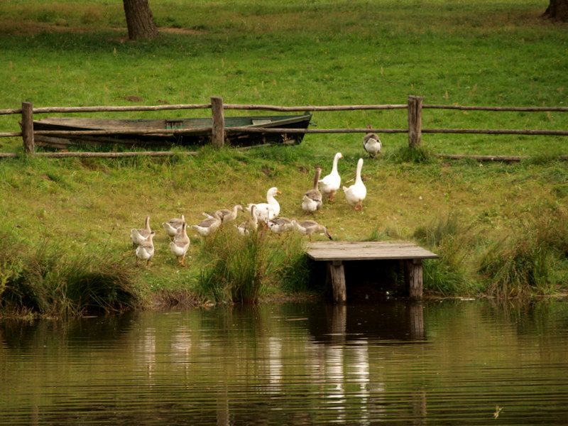 Warmia