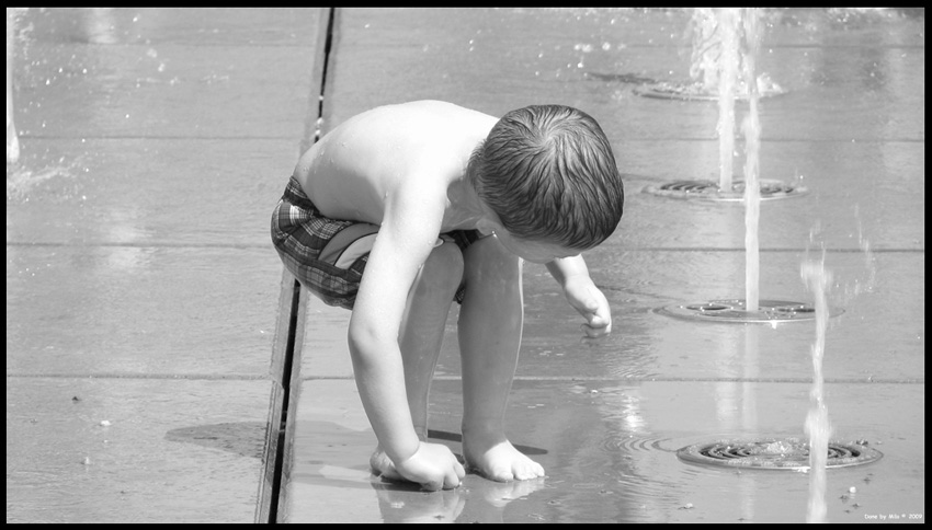 Little Curiosity