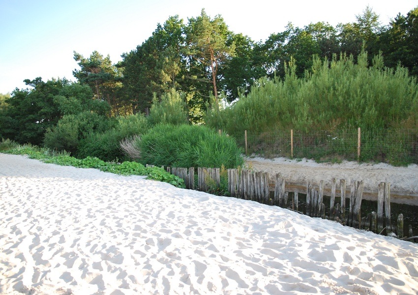 Wejście na plażę