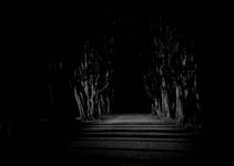 where i end and you begin