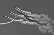 Red\"B&W\" Arrows