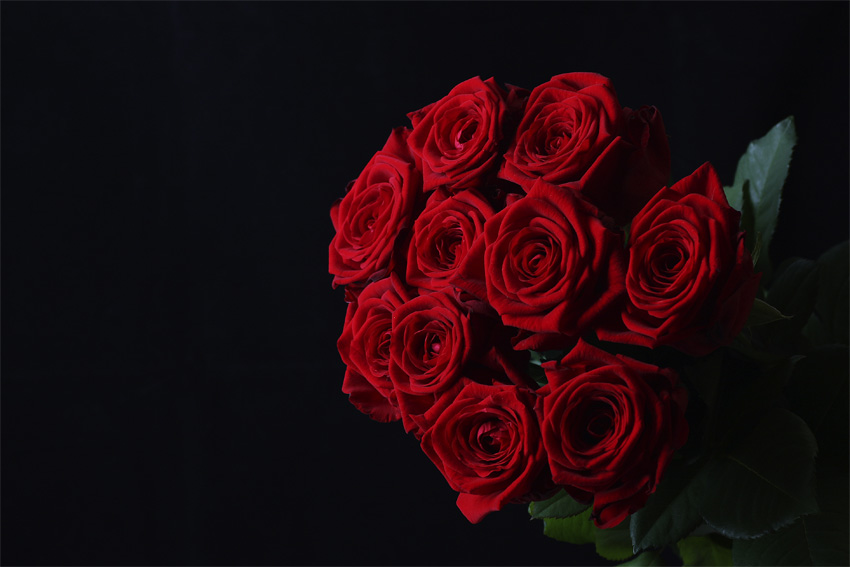 roza 2