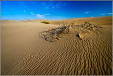 remains of life...